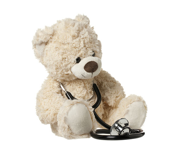 teddy teddy