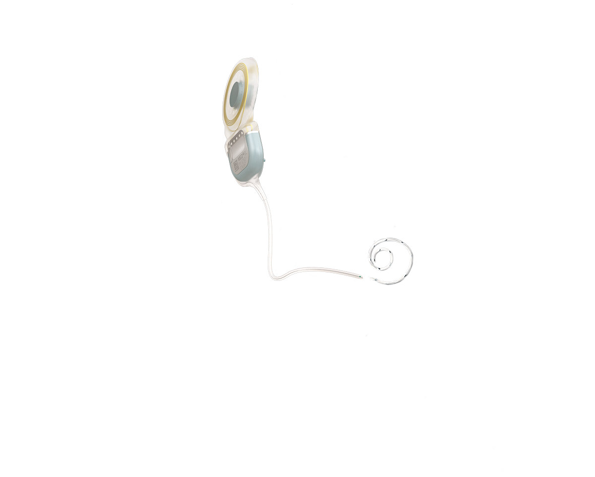 Anatomie de l'oreille SYNCHRONY 2